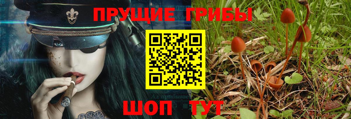 Галлюциногенные грибы Magic Shrooms Магнитогорск
